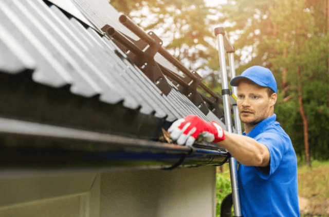 wheaton gutter service